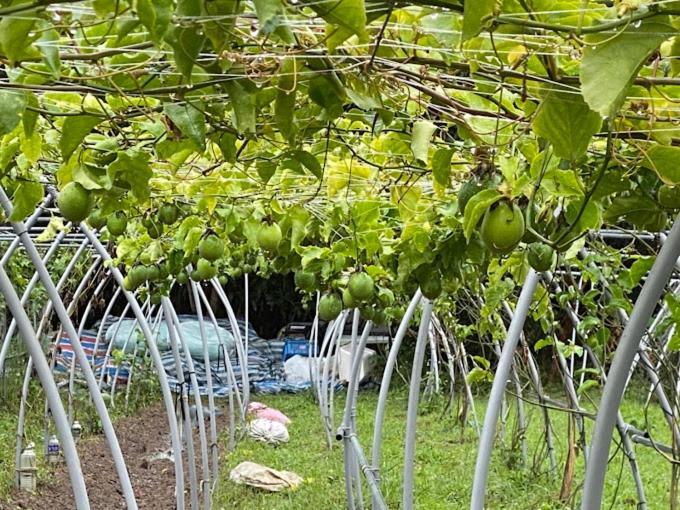 Canaan Beauty Farm B&B Chenggong Eksteriør bilde