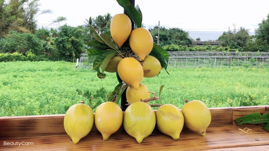 Canaan Beauty Farm B&B Chenggong Eksteriør bilde